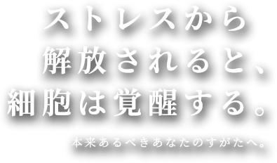 Arouse | エルモサハーブピーリング｜おすすめの化粧品・株式