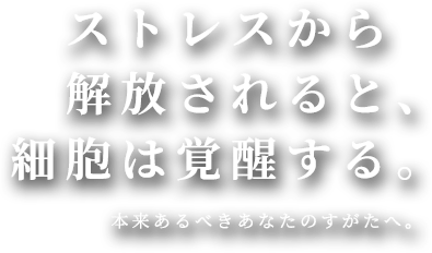 ストレスから解放されると、細胞は覚醒する。本来あるべきあなたのすがたへ。